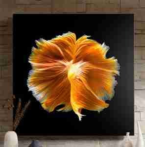 Aluminum Photo Panels